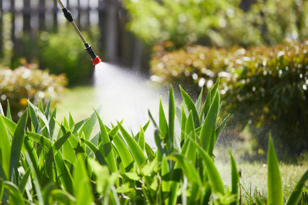 Tamper-Resistant Bait Stations for Rodents in South Russell