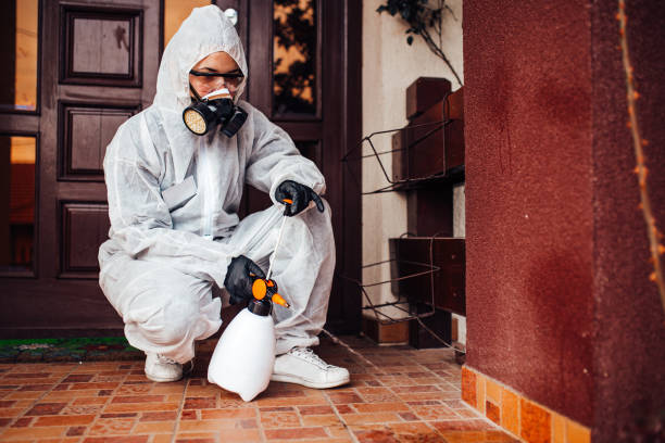 Attic and Crawl Space Rodent Treatment in South Russell